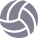 volleyball logo